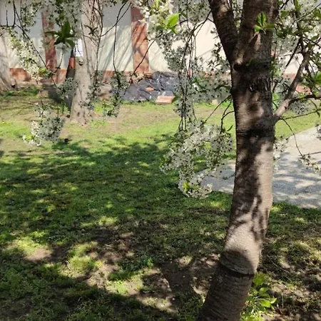 Apartment Orsi / Vendeghaz Kecskemet