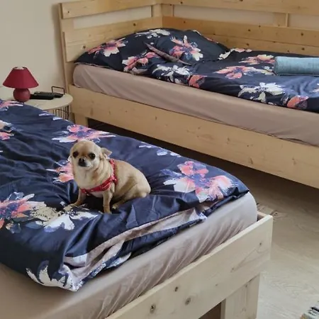 Apartman Orsi / Vendegház *