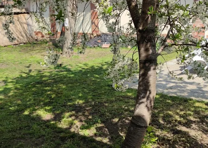 Apartament Orsi / Vendeghaz Kecskemét